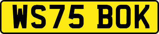 WS75BOK