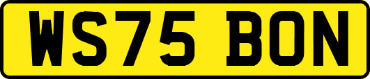 WS75BON