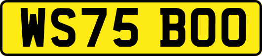 WS75BOO