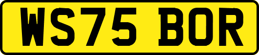 WS75BOR