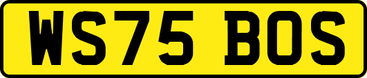 WS75BOS