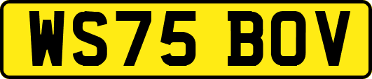WS75BOV