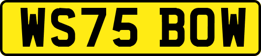 WS75BOW