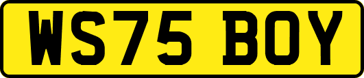 WS75BOY