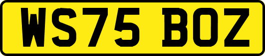 WS75BOZ