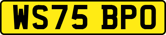 WS75BPO