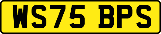 WS75BPS