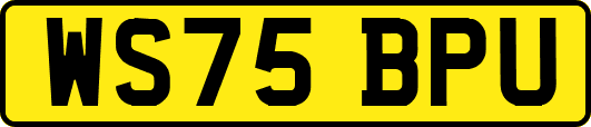 WS75BPU