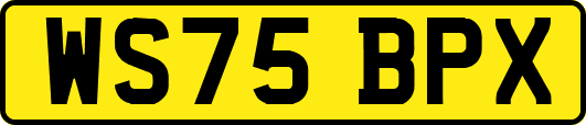WS75BPX