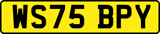 WS75BPY