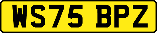 WS75BPZ