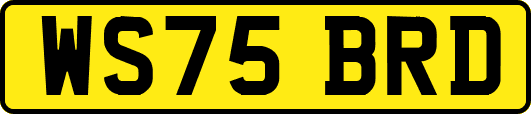 WS75BRD