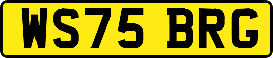WS75BRG