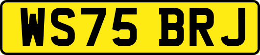 WS75BRJ