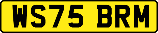 WS75BRM