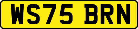 WS75BRN