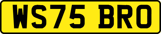 WS75BRO