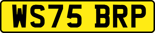 WS75BRP