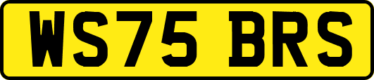 WS75BRS
