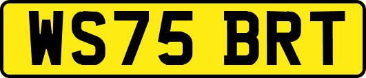 WS75BRT