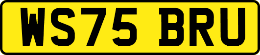 WS75BRU