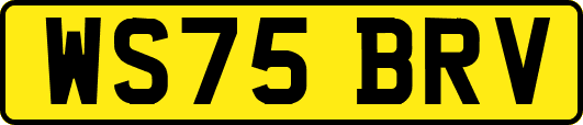 WS75BRV