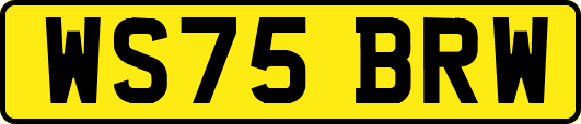 WS75BRW