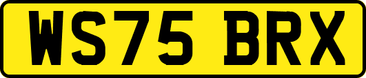 WS75BRX