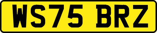 WS75BRZ