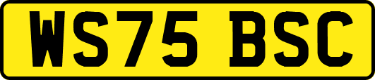WS75BSC
