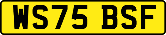 WS75BSF
