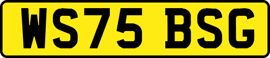 WS75BSG
