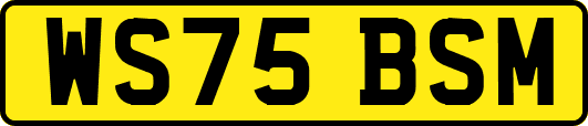 WS75BSM