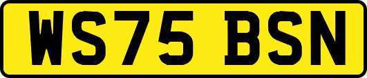 WS75BSN