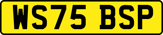 WS75BSP