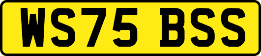 WS75BSS