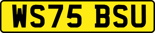 WS75BSU