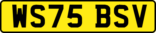 WS75BSV
