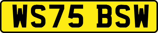 WS75BSW