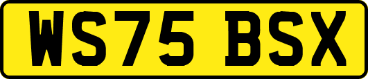 WS75BSX
