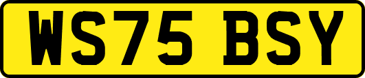WS75BSY