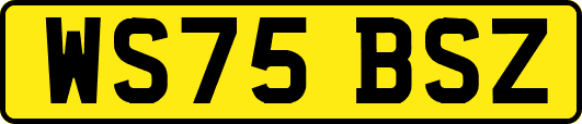 WS75BSZ