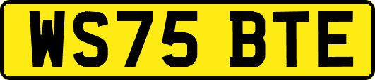WS75BTE
