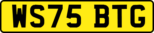 WS75BTG