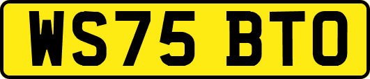 WS75BTO