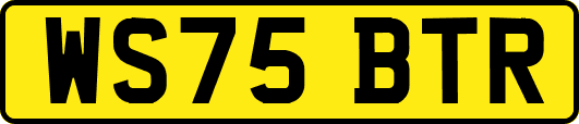 WS75BTR