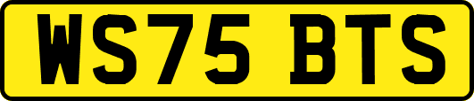 WS75BTS