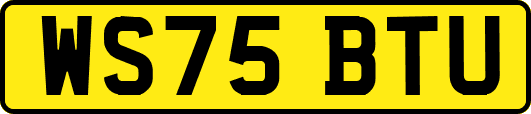 WS75BTU