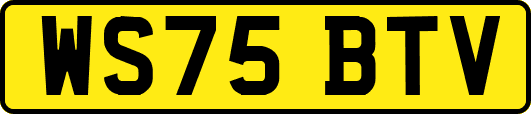 WS75BTV