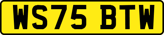 WS75BTW